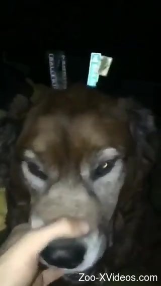 Sexy animal has to deepthroat the guy's cock in POV