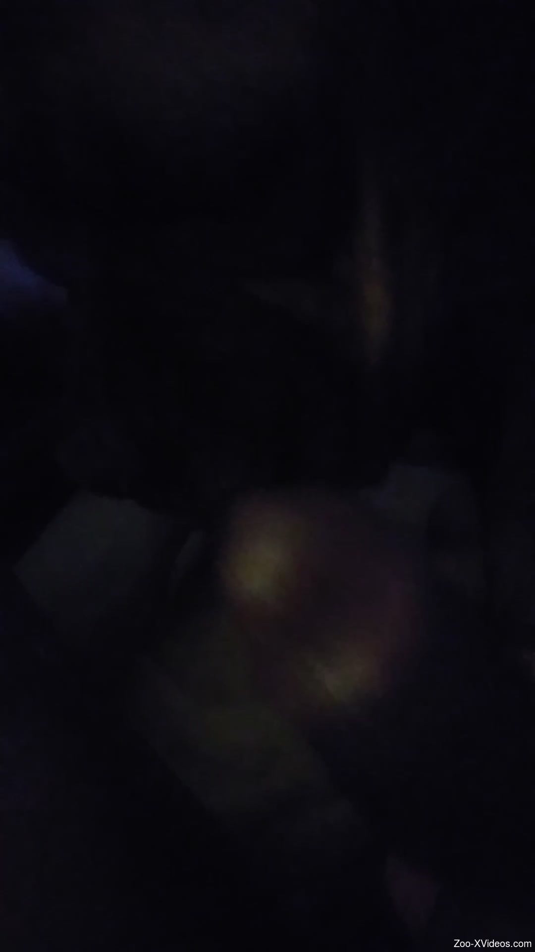 Nighttime zoophilic scene with a thick-dicked stud