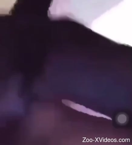 Nude beauty dog humped hard enough to scream on cam