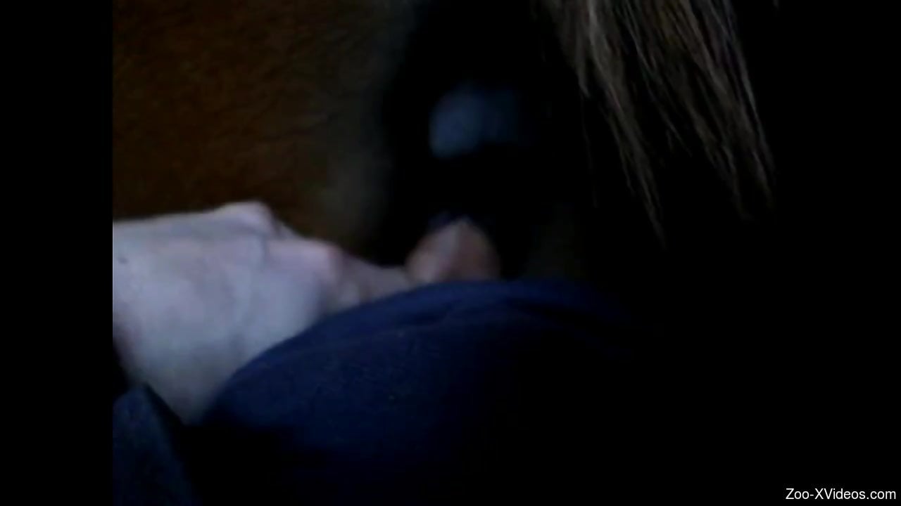 Dude fucks a mare from behind in a POV zoo video