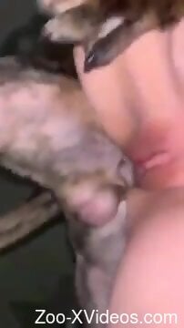 Close look at the hardcore zoo sex featuring kinky dude