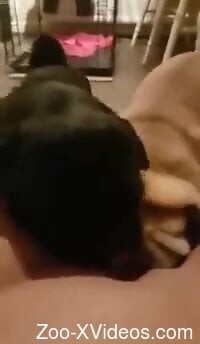 Dog licks the woman's wet pussy in homemade kinks