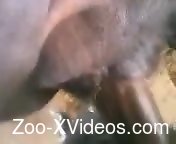 Assertive dude with a huge cock fucks that hot hole