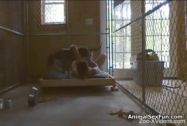 Caged babe gets dominated by a very hung pooch