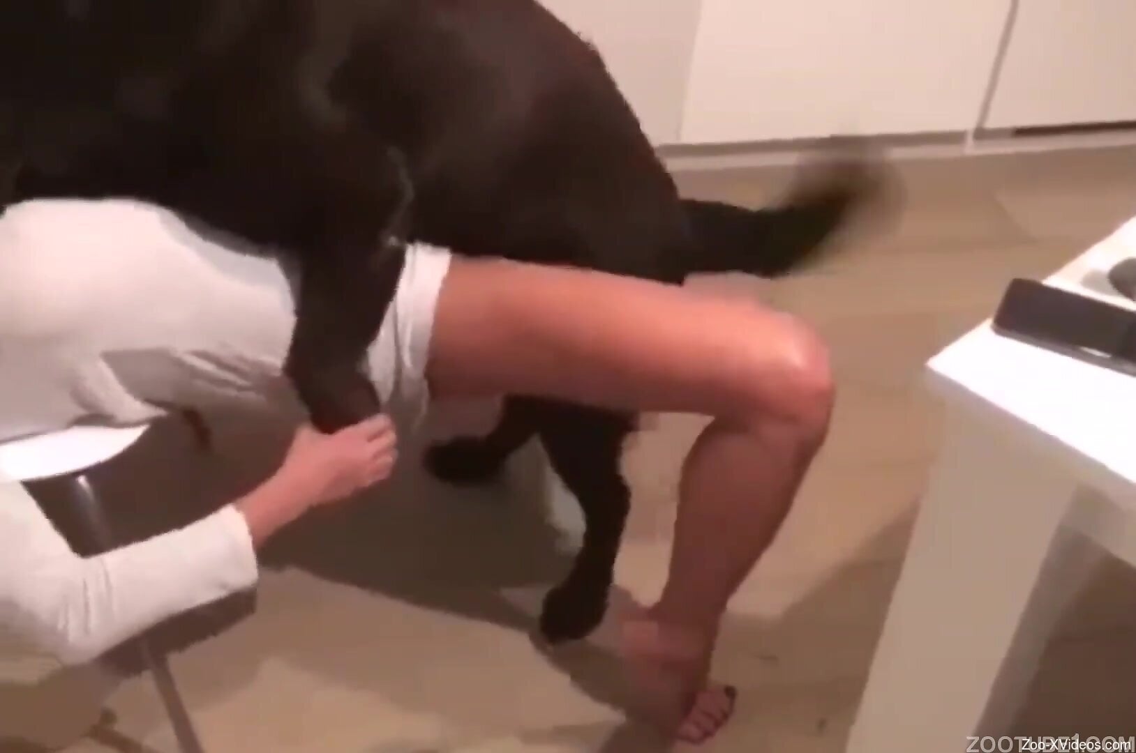 Nude blonde receives spicy dog's dick in her wet muff