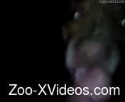 Late night animal sex video with a horny dog
