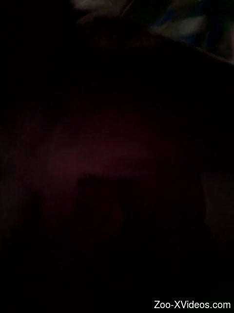 Midnight perversions with animals in dirty hardcore kinks