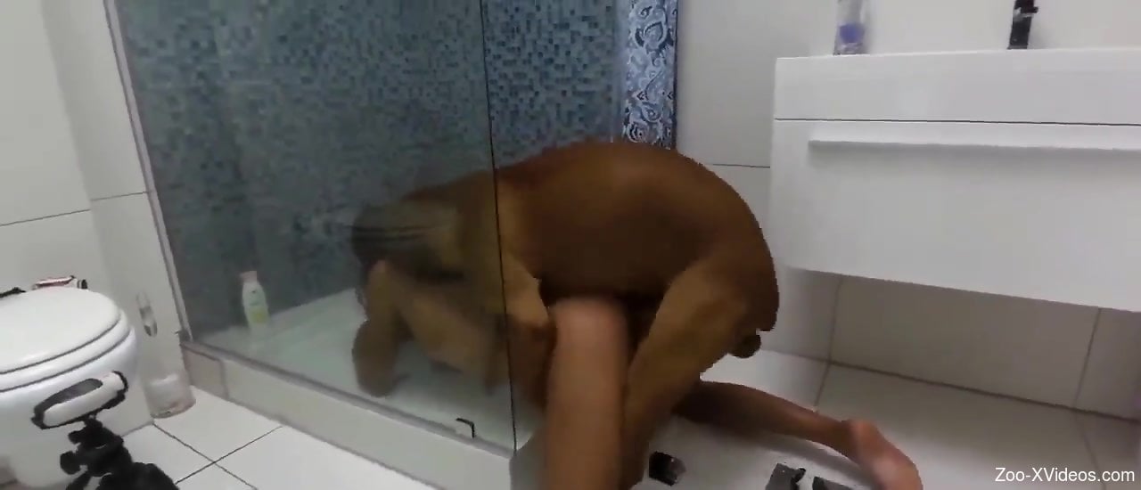 Masked Latina gets her pussy tenderized by a dog