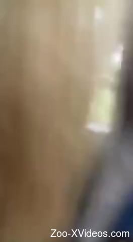 Hot babe getting pounded by a big-dicked stallion