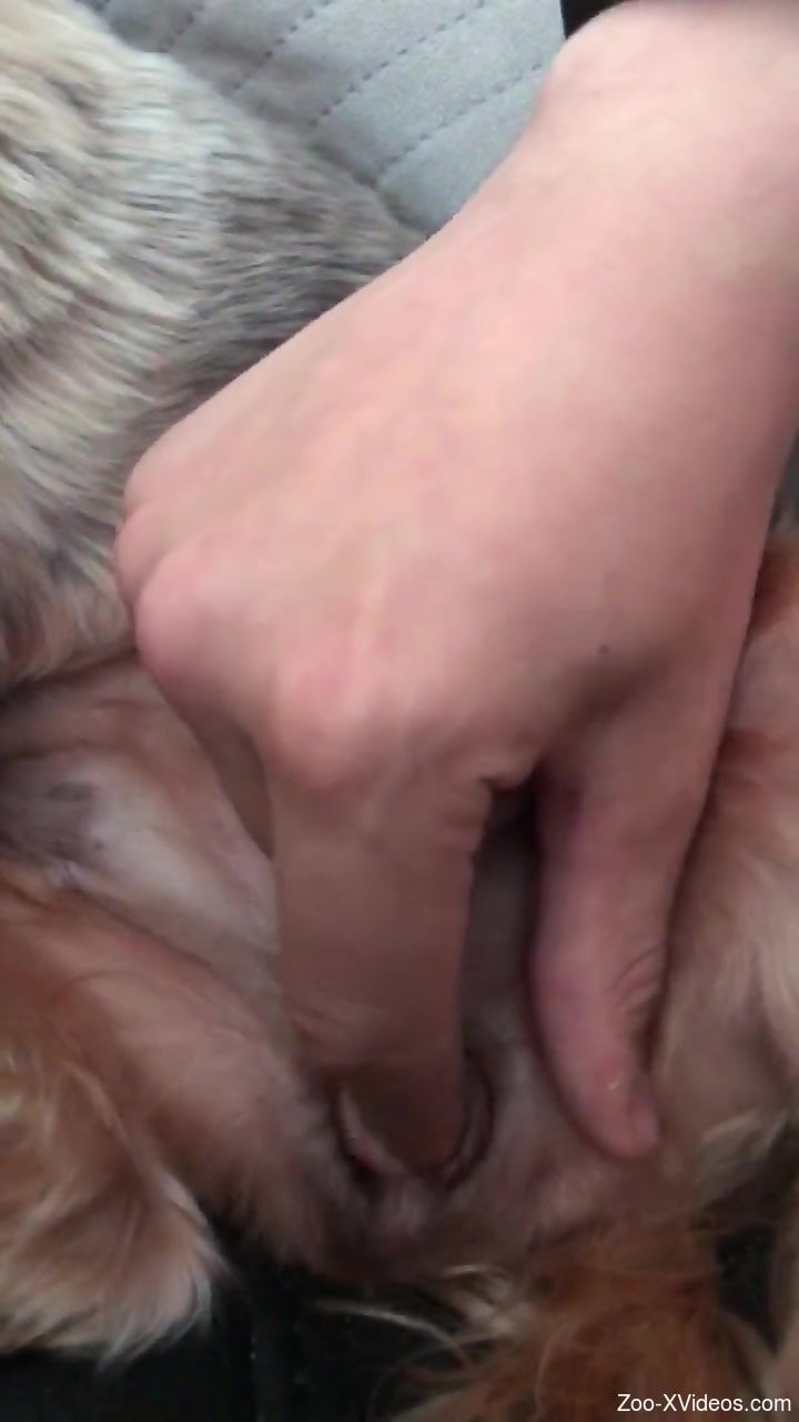 Man pleases his dirty needs by fucking the dog