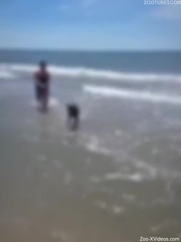 Slutty scenes of dog porn with a big ass woman craving more