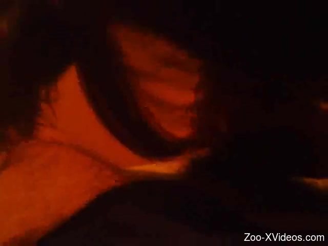 Close up video of a zoophile having some kinky fun