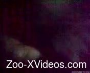 Awesome bestial sex in close-up with a tight animal anus