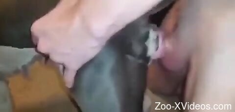 Horny guy is going to fuck a slutty animal too