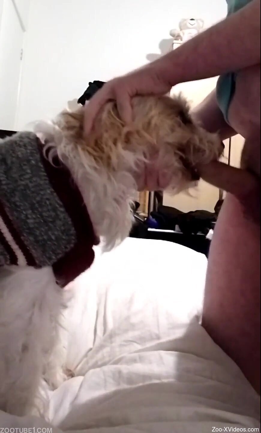 Man pushes whole dick in dog's mouth in brutal scenes