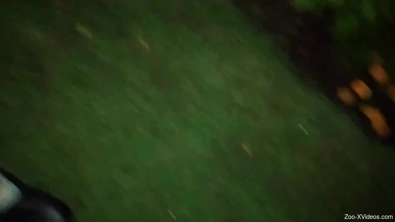 Guy generously lets a snail hide in his foreskin