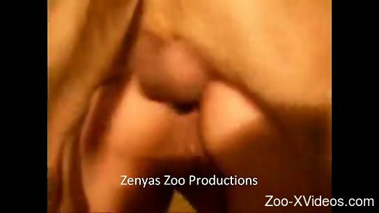 Dog with a hard cock penetrating that eager MILF pussy