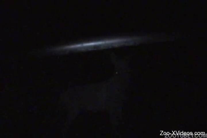 Hidden cam midnight amateur animal porn with a horny dude