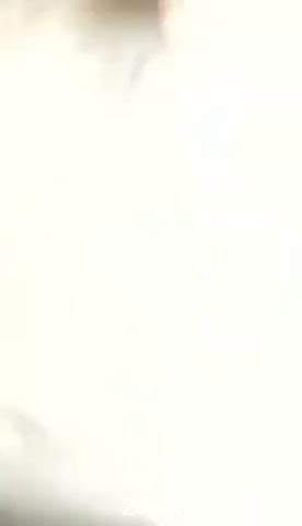 Sexy animal fucking that lovely little booty BIG TIME