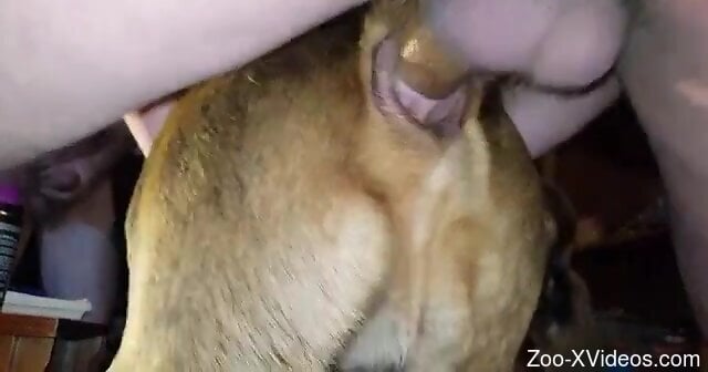 Guy with a meaty ass thrusting like mad in here