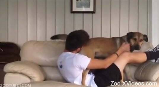 Special treat for this horny amateur man in zoophilia scenes