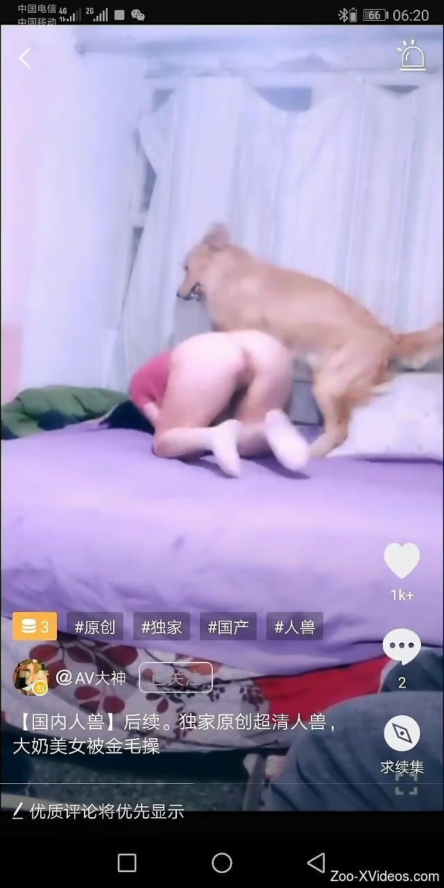 Pretty girl in pink gets fucked by her sexy pet