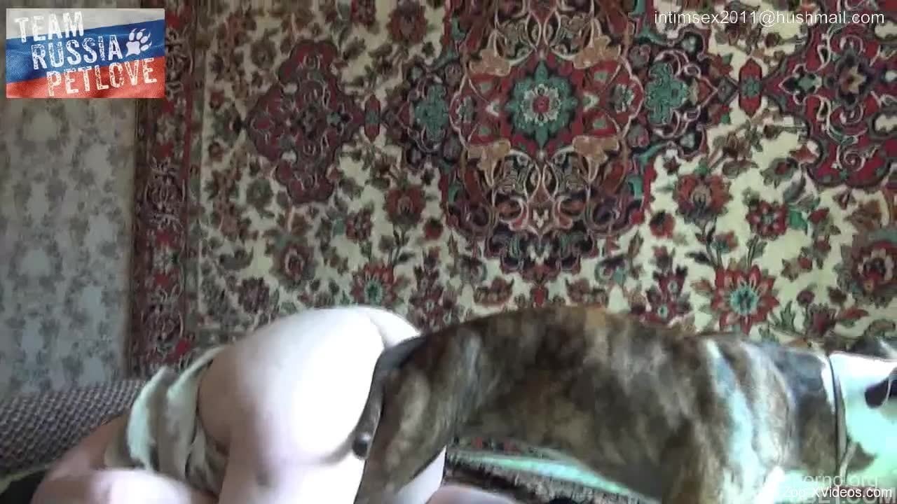 Woman in leather mask nicely gags on dogâ€™s erect fuckstick