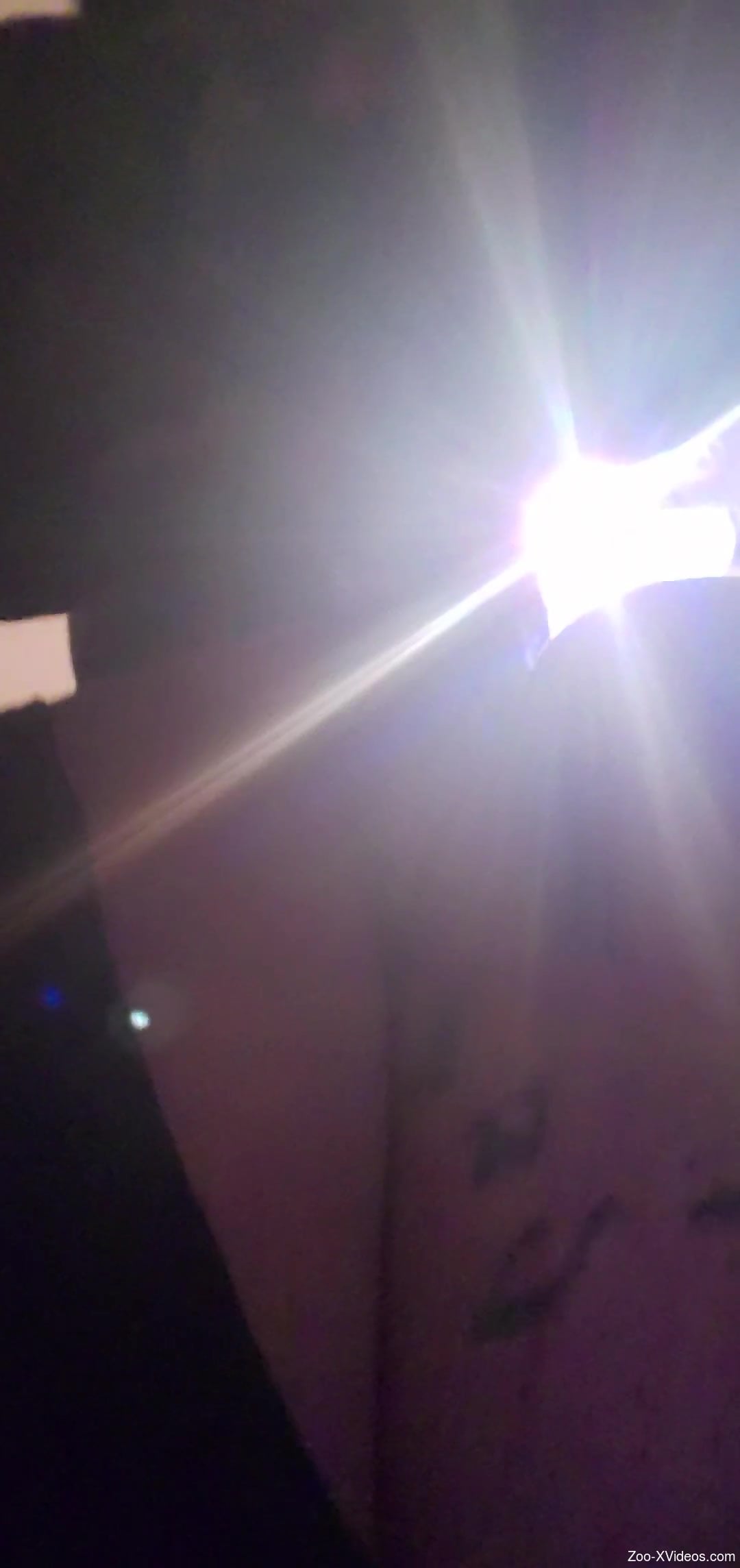 Close-up zoophile screwing video with hot gape