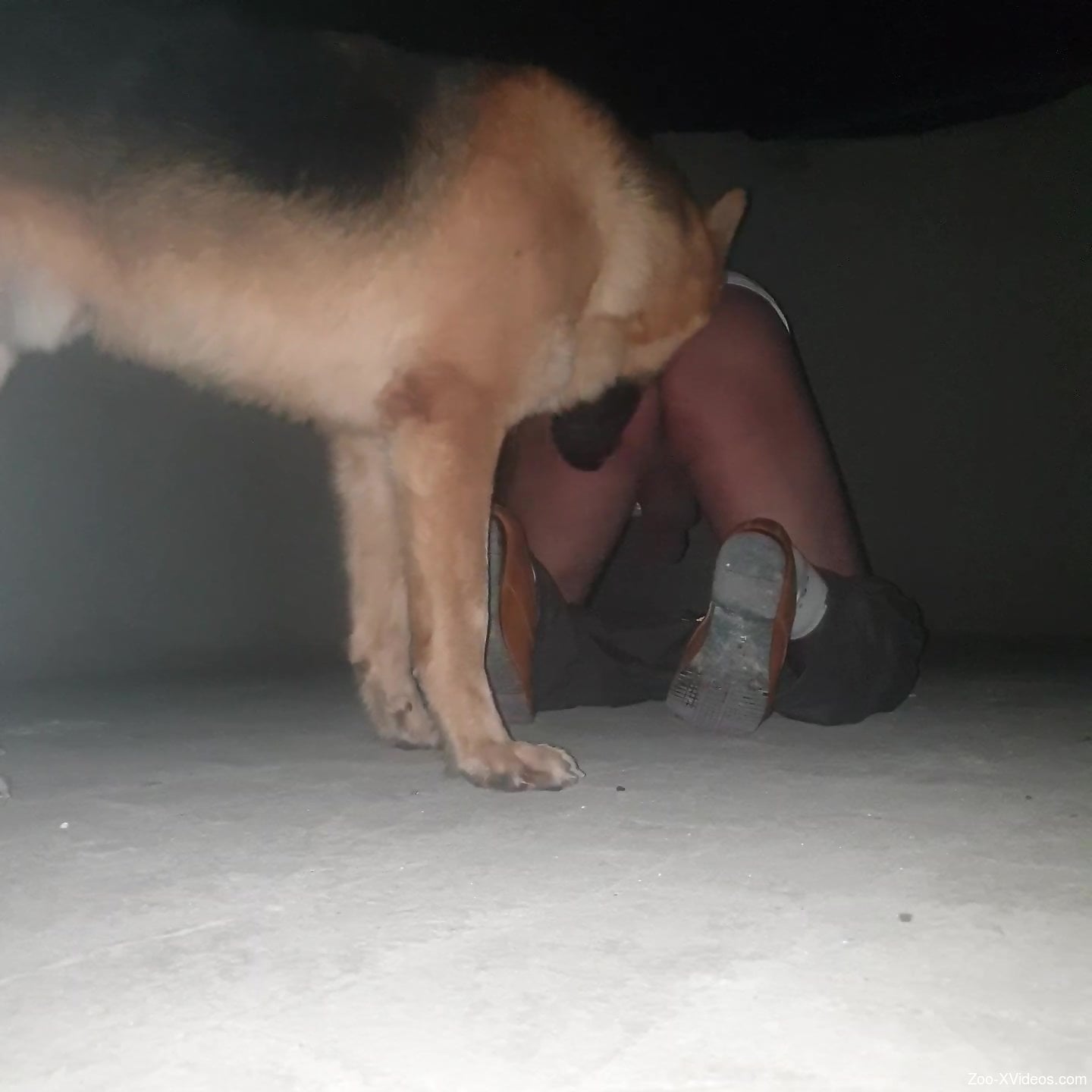 Guy's tight butthole getting fucked hard by a dog