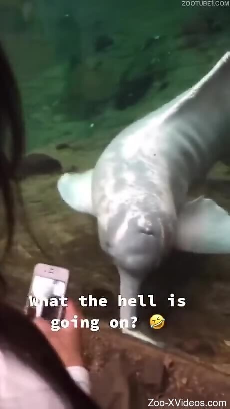 Aroused man tries dirty perversions in raw zoophilia rounds