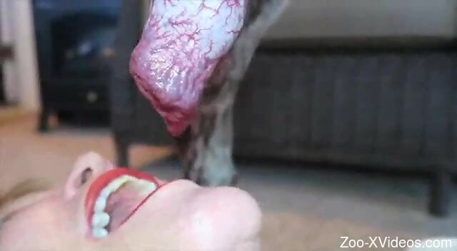 Doggie participates in homemade zoophilia session