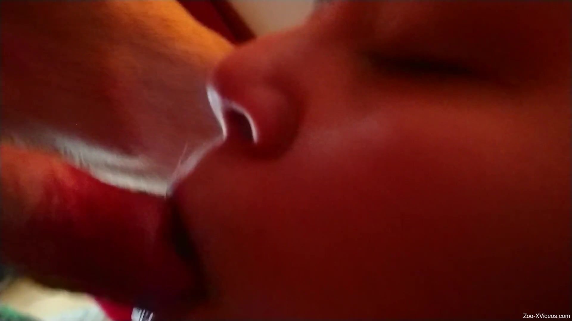 Hot lady worships a dog's dick orally on camera