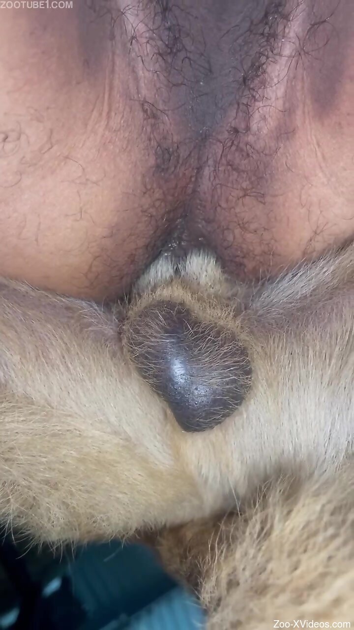 Asshole of horny guy is going to be used for real