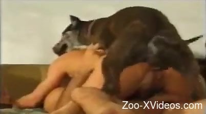 Dog humps woman in the ass when she rides her hubby