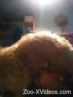 Sexy animal showing its sexier body for the camera