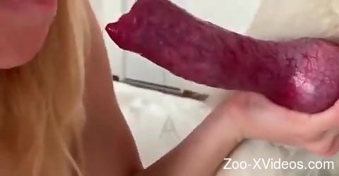 Blonde babe sucks tasty dog dick until the sperm comes out