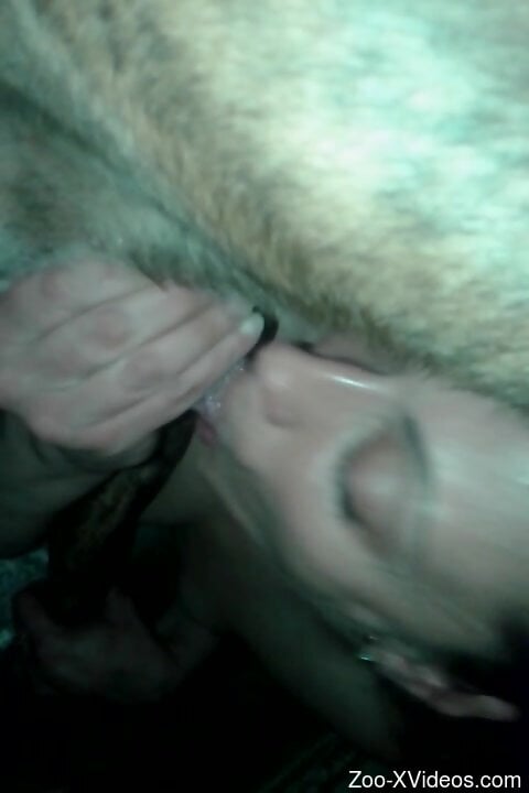 Thirsty amateur plays with the dog's dick in charming blowjob XXX