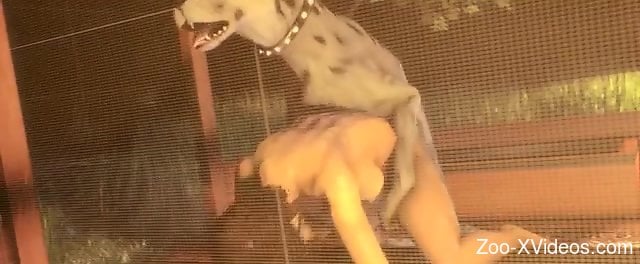 Lara Croft getting fucked by a very sexy animal