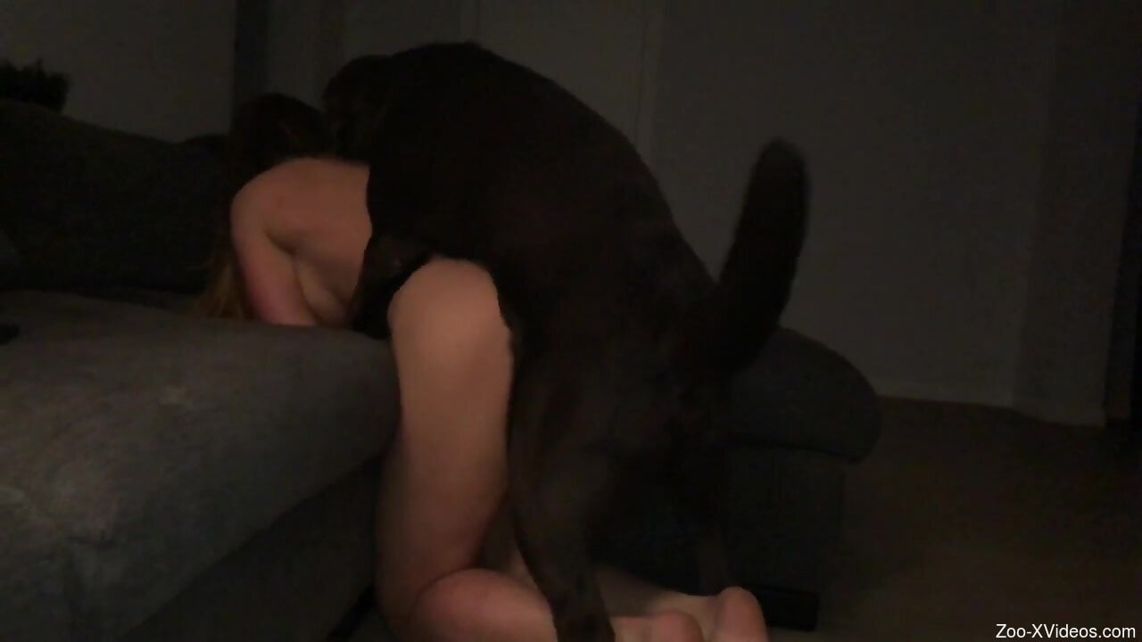 Wet twat of a chick gets fucked during kinky zoo porn