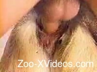 Horny zoophile destroys his pet's pussy in a threesome