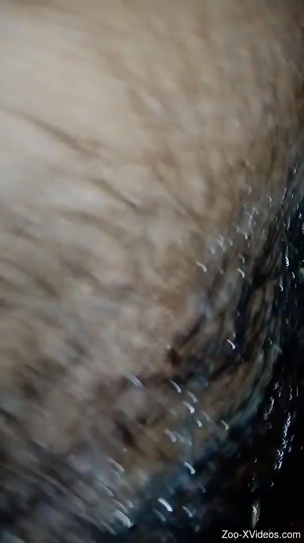 Messy fucking movie with impressive zoophilic action