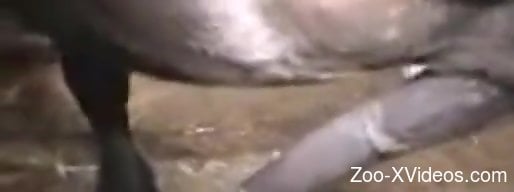 Naughty animal porn scenes with a man being ass fucked