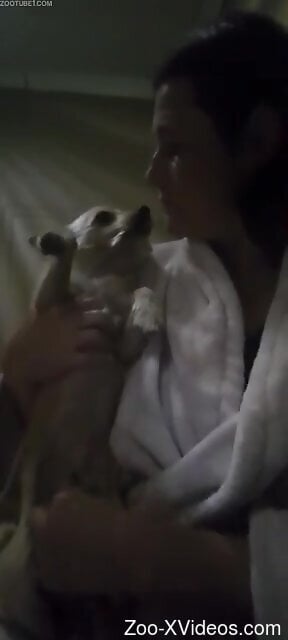 Man tries playing with his dog's dick in slutty scenes