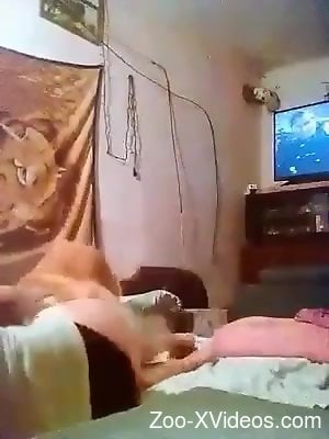 Brown animal sets its sights on a perfect human twat