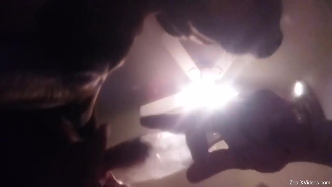 Horny animal enjoying a swift handjob in a hot vid