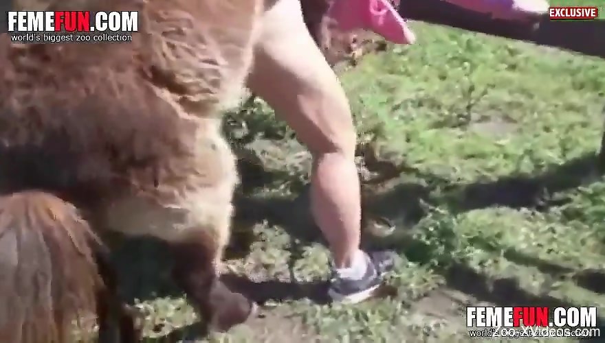 Seductive MILF with meaty legs fucking a hung animal