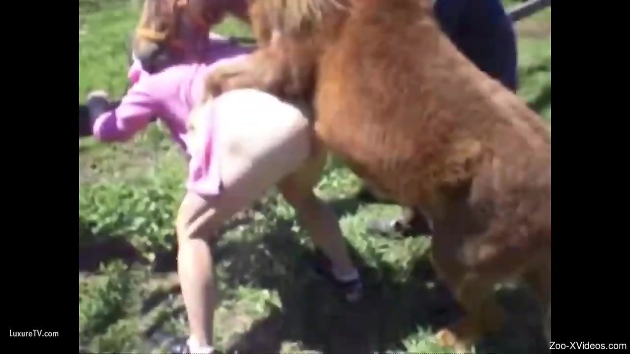 Delicious human pussy getting wrecked by an assertive animal