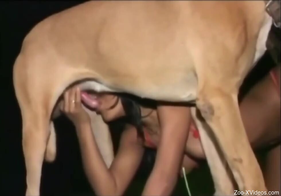 Brunette filmed when throating the dog's dick