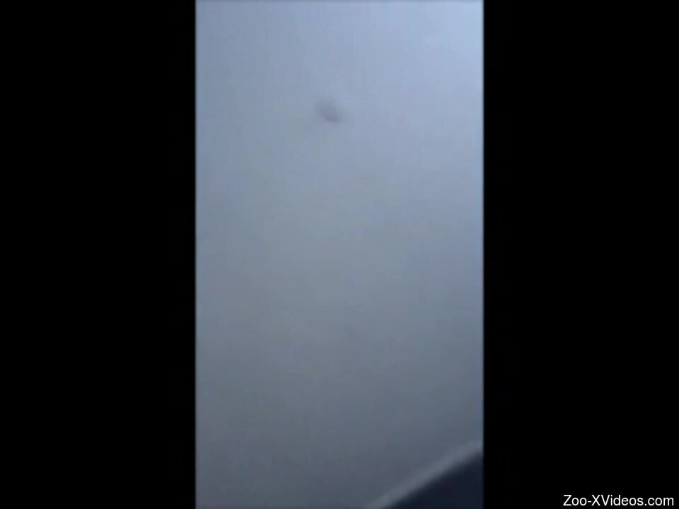 Aroused slut filmed in great detail when the dog humps her