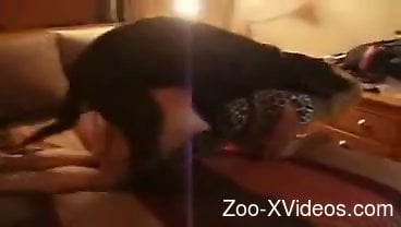 Dazzling beast drilling that wet cooch from behind